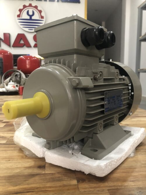 Động cơ điện Y3-315L-4