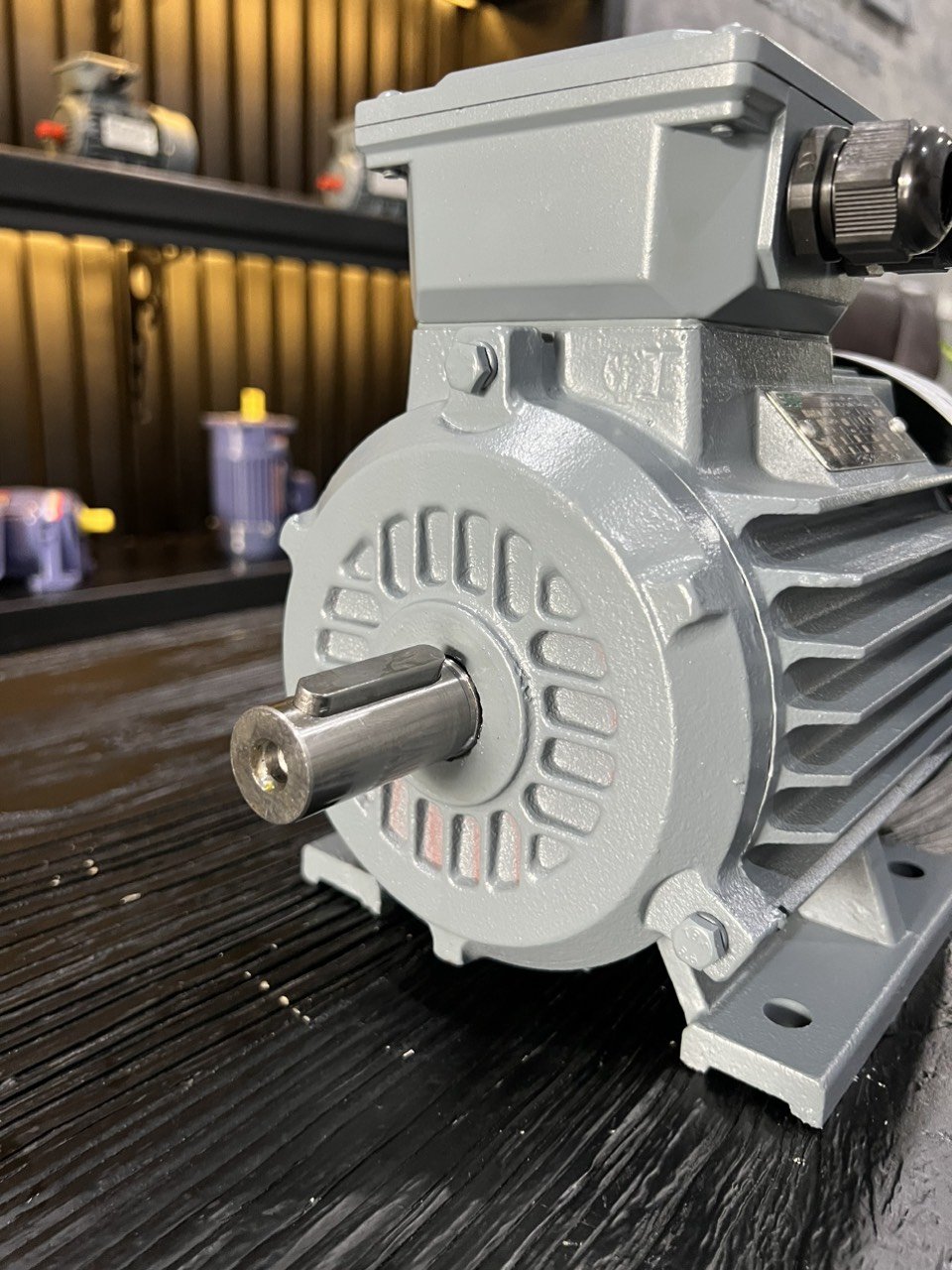 Động cơ điện SGP Động cơ điện SGP