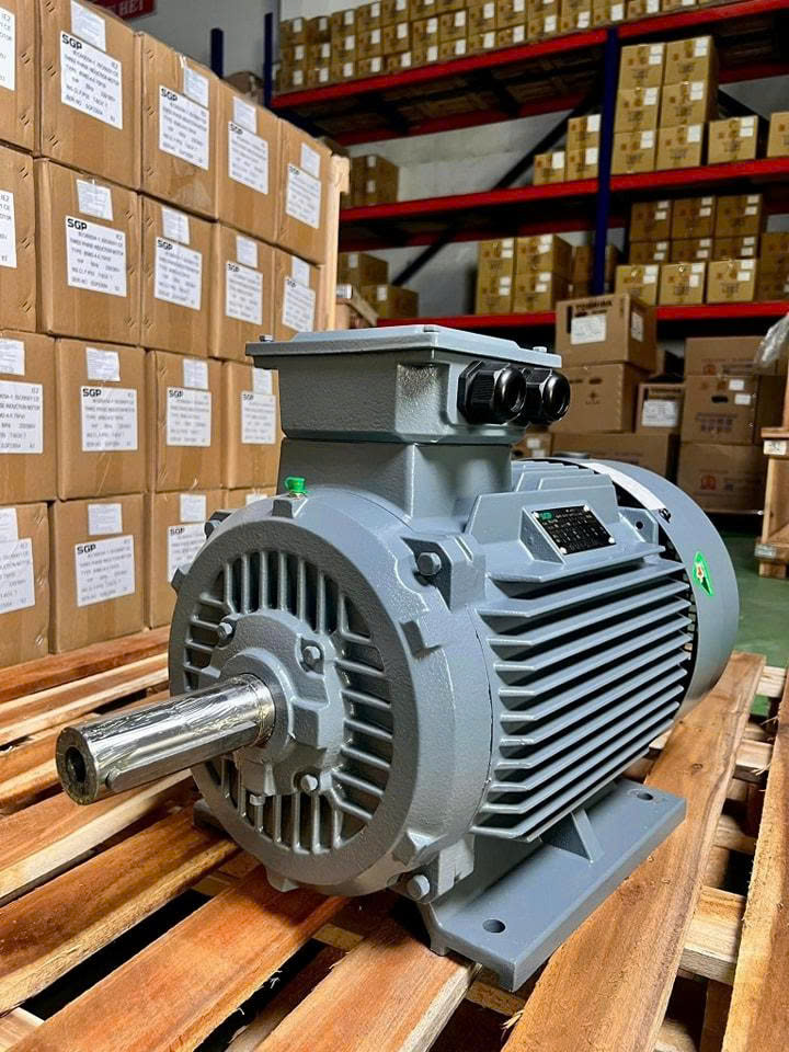 Động cơ điện SGP Động cơ điện SGP Motor SGP
