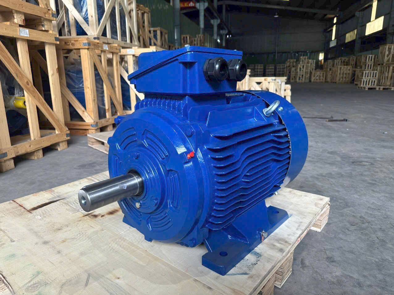 Động cơ điện Motology ME